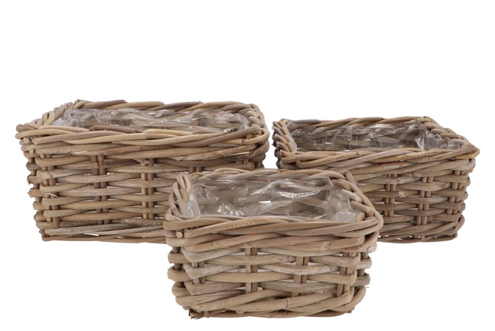 Rattan Ivy Square 30cm S/3