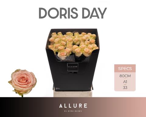 <h4>R GR DORIS DAY</h4>