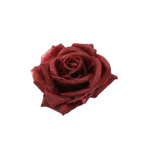 WAX ROSE D10 BORDEAUX