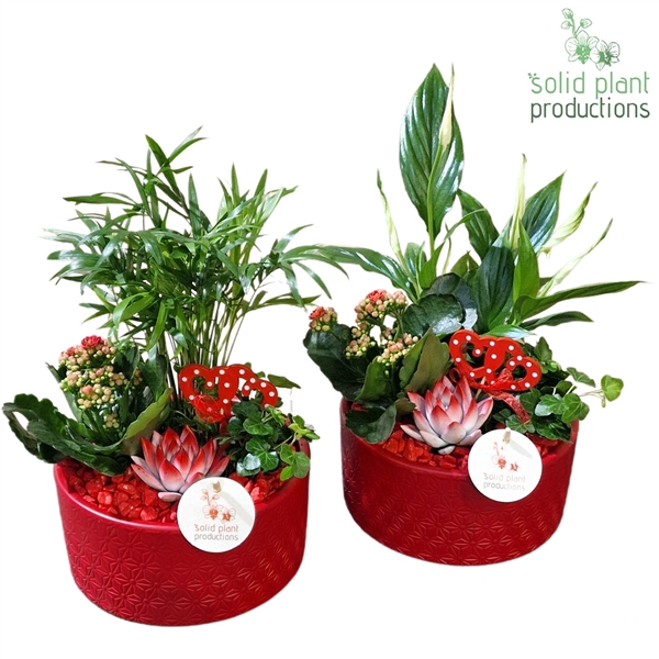 <h4>SCE003 Loes Red Mix VM</h4>