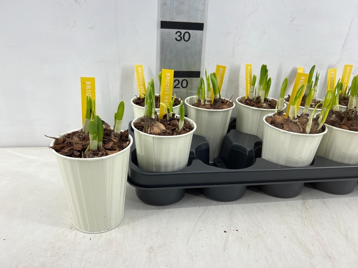 <h4>ARR N TETE A TETE</h4>