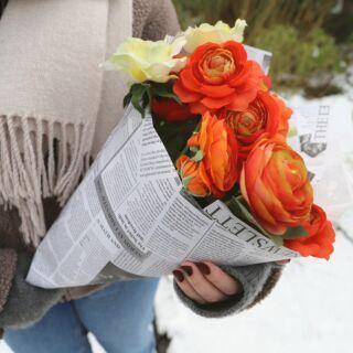 <h4>Kraft blanc news (770590)</h4>