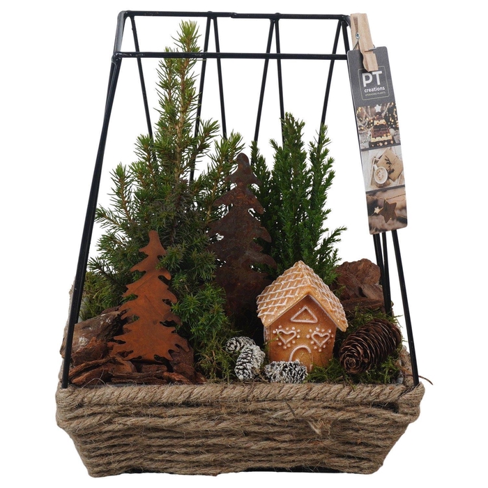 <h4>Arr. Kerst H%</h4>