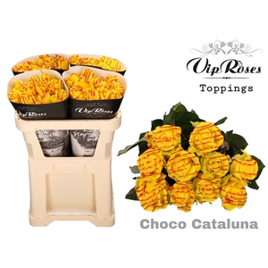 R GR CHOCO CATALUNYA 998