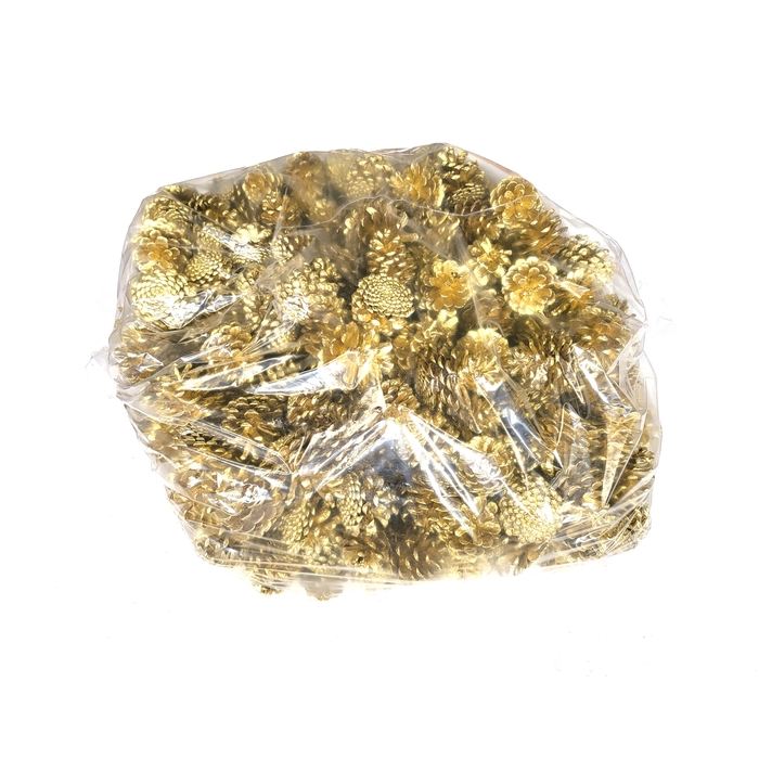 <h4>Pine cone 10 kg in bag Gold</h4>