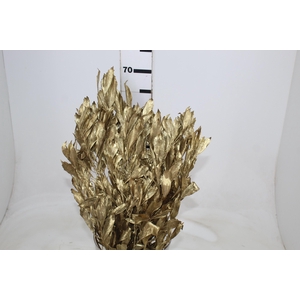 FOLHAGEM CARNE DE VACA DESIDRATADA