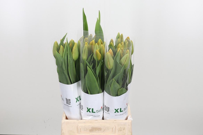 <h4>Tu En Dordogne</h4>