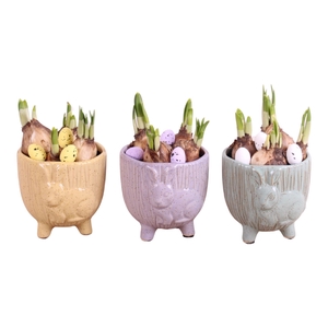 Easter Arr. Narcis Ceramic Pot Round Rabbit Feet Ø11cm