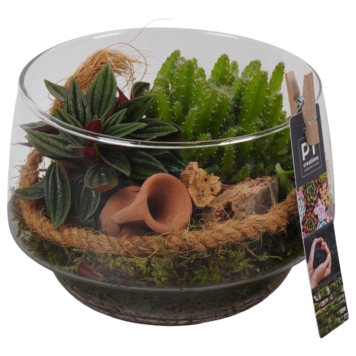 <h4>PTGIG2137 Arrangement Greens in glass in glasschaal</h4>