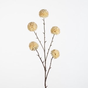 AF Pompom XL x5 L100cm cream