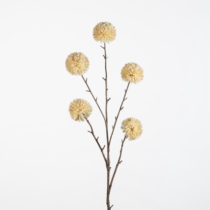 <h4>AF Pompom XL x5 L100cm cream</h4>