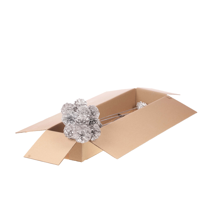 <h4>Pine C 5-7 O/s Sb Silver</h4>
