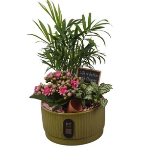 PTIB5111 Arrangement Indoor in keramiek schaal