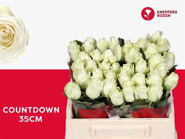 <h4>R GR COUNTDOWN!</h4>