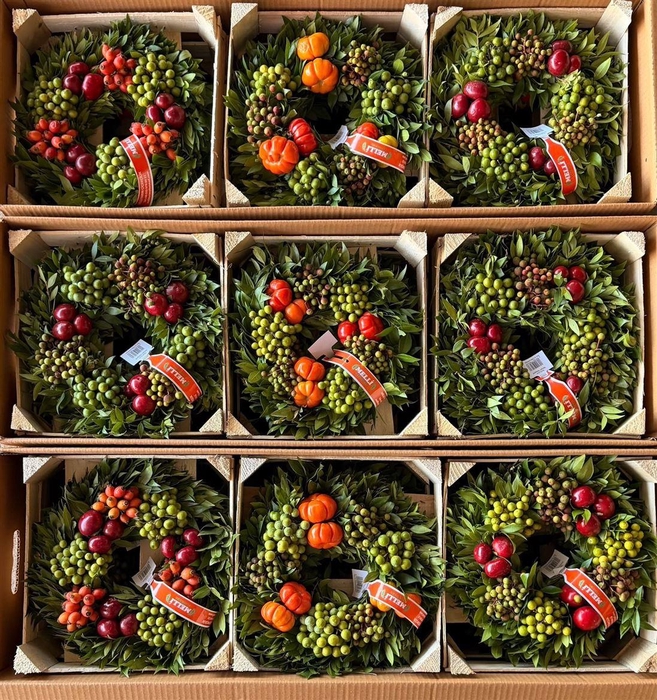 <h4>Wr Sierfruit 30cm (melli)</h4>