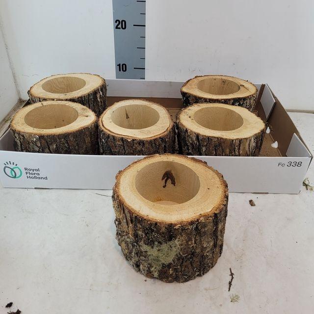 <h4>DECO BARK POT X6</h4>