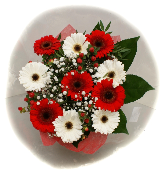 <h4>2025006 Rood</h4>