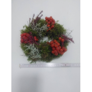 KRANZ 23 HAGEBUTE-MOOS 15CM