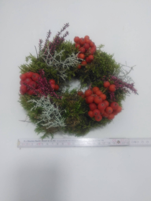 <h4>KRANZ 23 HAGEBUTE-MOOS 15CM</h4>