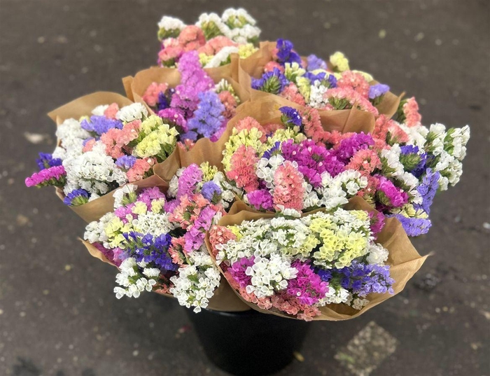 <h4>Bouquet Limonium Sinuatum Mix</h4>