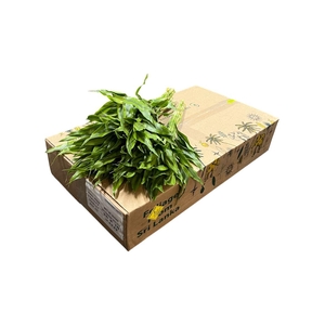 Sandriana Gold 52cm Doos