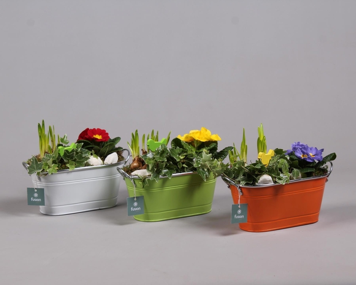 <h4>Schaal zink ovaal Voorjaar met Arrangement verschillende kleuren</h4>