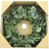 Wreath Euca Cinerea Preserved