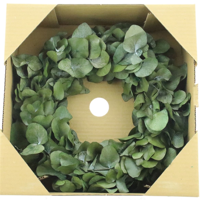 <h4>Wreath Euca Cinerea Preserved</h4>