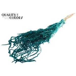 Hang Amaranthus ±70cm Preserved per bunch Bleached Turquoise