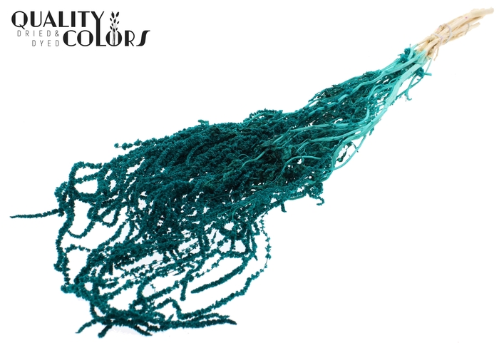 <h4>Hang Amaranthus ±70cm Preserved per bunch Bleached Turquoise</h4>