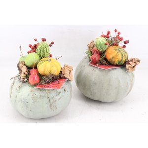 arr4 Sierfruit GB - Groene pomp. L x3