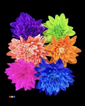 <h4>Chr T Euro Mix 6 Colors</h4>