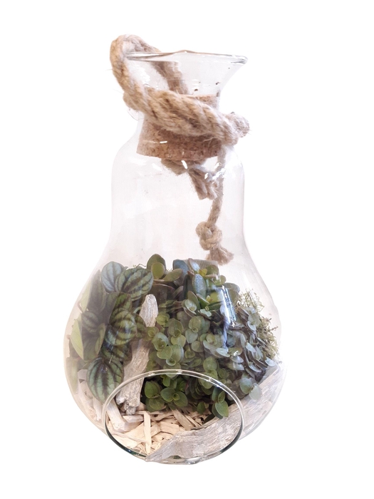 <h4>812 WHI Terrarium +Kurk+touw succ.mix White deco</h4>