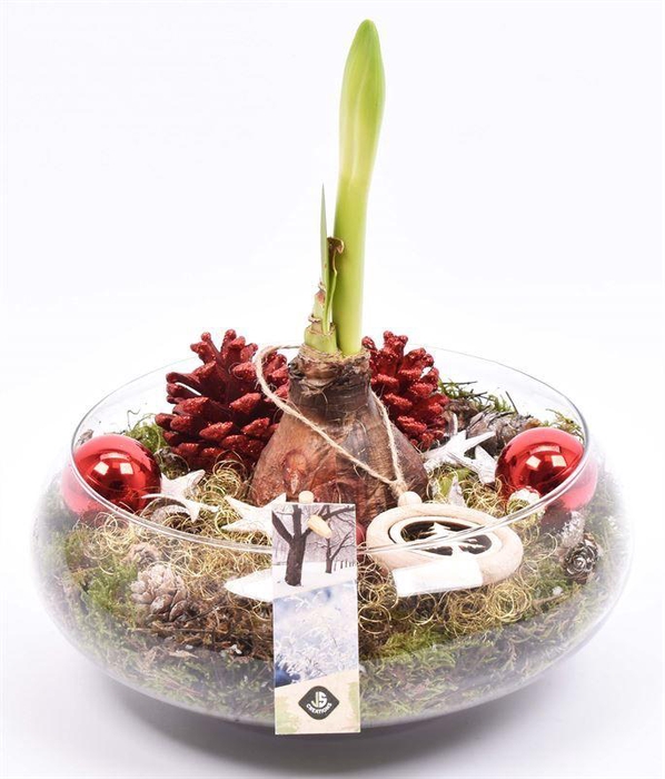 <h4>Glas schaal 24cm</h4>