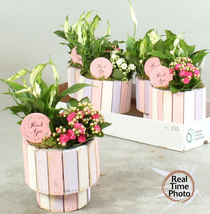 <h4>ARR KAMERPL</h4>