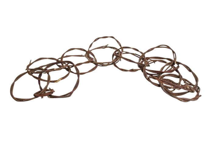 Garland Vine Ring L100D15