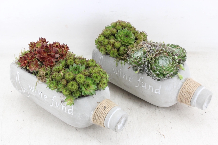 <h4>arr4 Semp JS - Cement wijnfles liggend x4</h4>