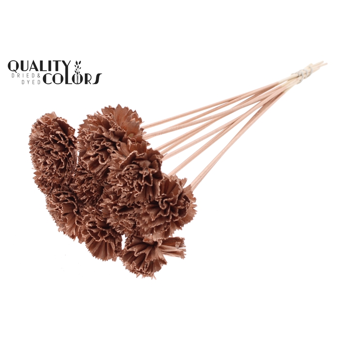 <h4>Shola Karnish Flower 6cm on stem Copper</h4>
