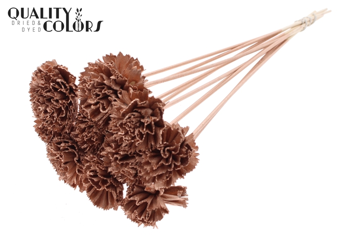 Shola Karnish Flower 6cm on stem Copper