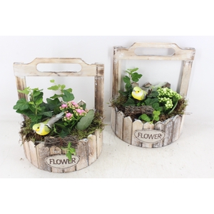 arr2 TD - Hout planter half rond - wit/roze