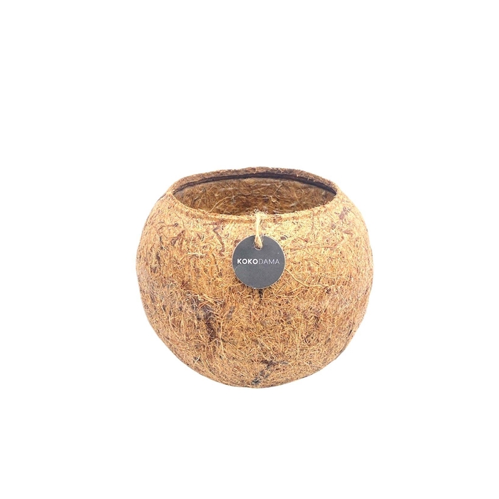 <h4>Kokodama Empty 15 cm (No String)</h4>
