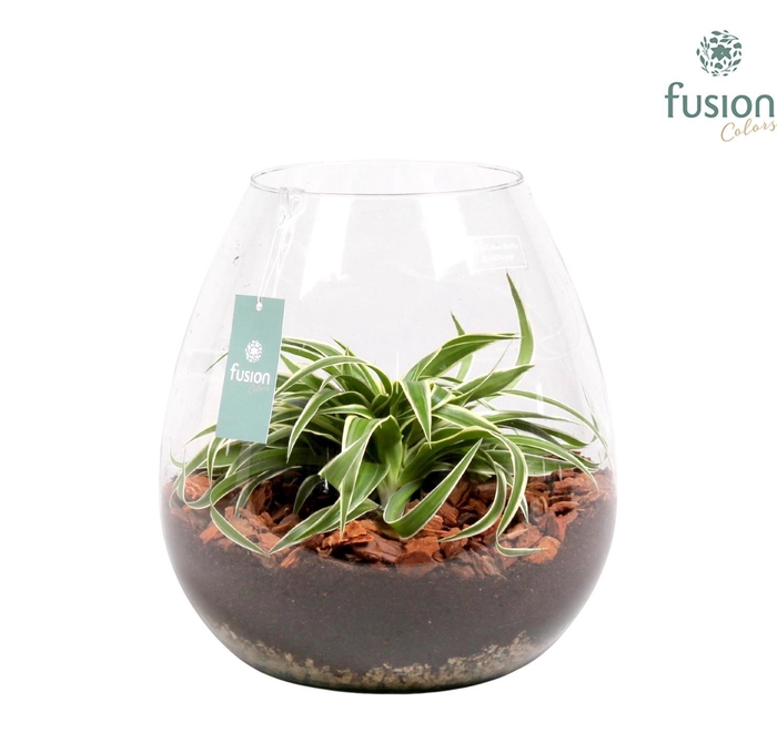<h4>Green Bottle abby met groene planten</h4>