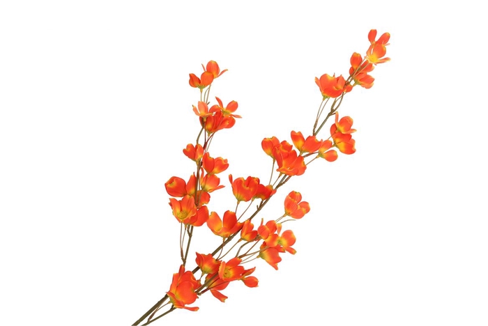 <h4>Silk Wolfberry Orange 106cm</h4>