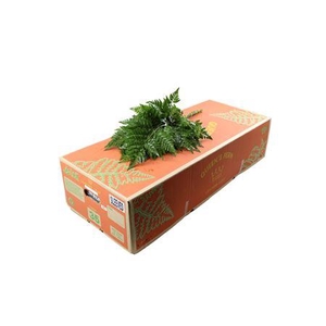 Lederv. Large Queens