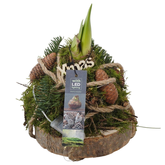 <h4>Arr. Kerst L%</h4>