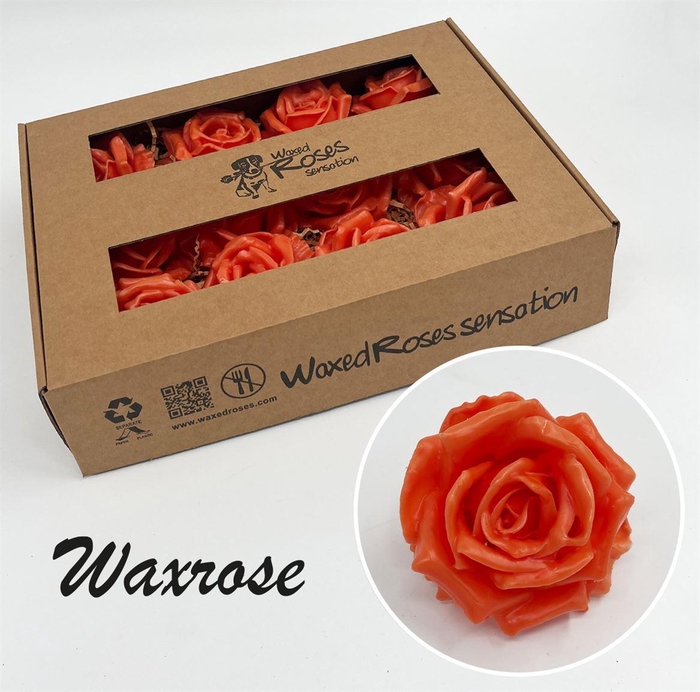 <h4>Zijde R Wx Oranje</h4>