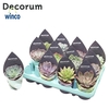 Echeveria Mix (12spc.) (decorum) Decorum Potcover