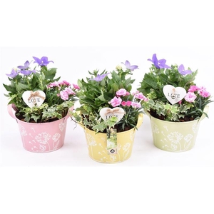 Zink teil bloemdecor kl.mix 18cm