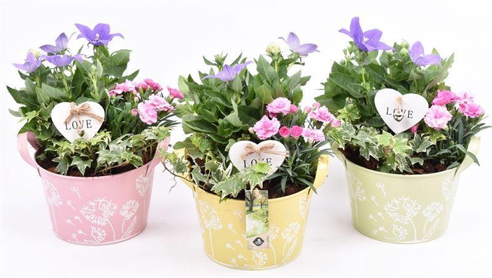 <h4>Zink teil bloemdecor kl.mix 18cm</h4>