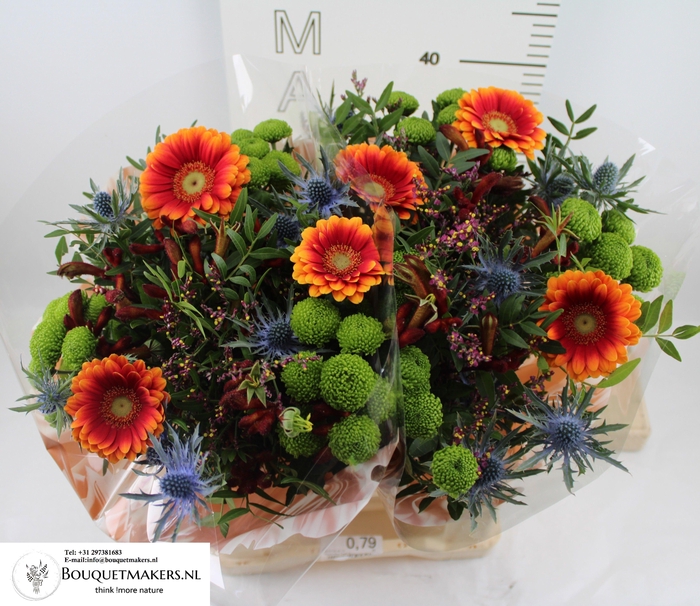 <h4>GEM BOEKET OV</h4>